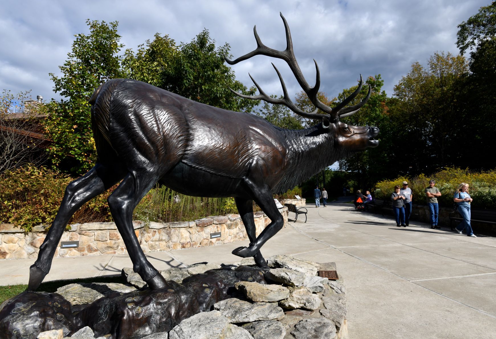 Elk sculpture